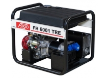 Бензиновый генератор Fogo FH6001TRE